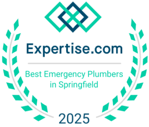 best emergency plumbers